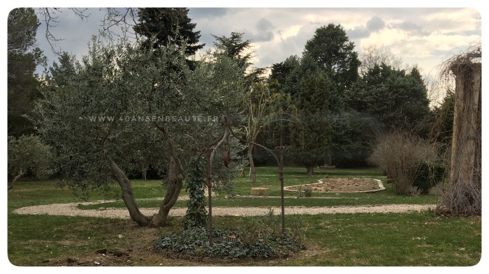 jardin-spa-baumaniere-baux-de-provence-belle-a-40-ans