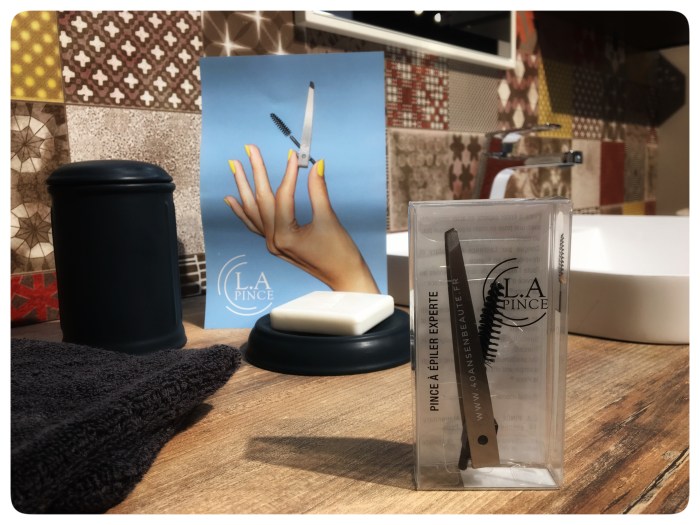 L.A PINCE-LAURENCE-ALPHANDARY-AVIS-BLOG