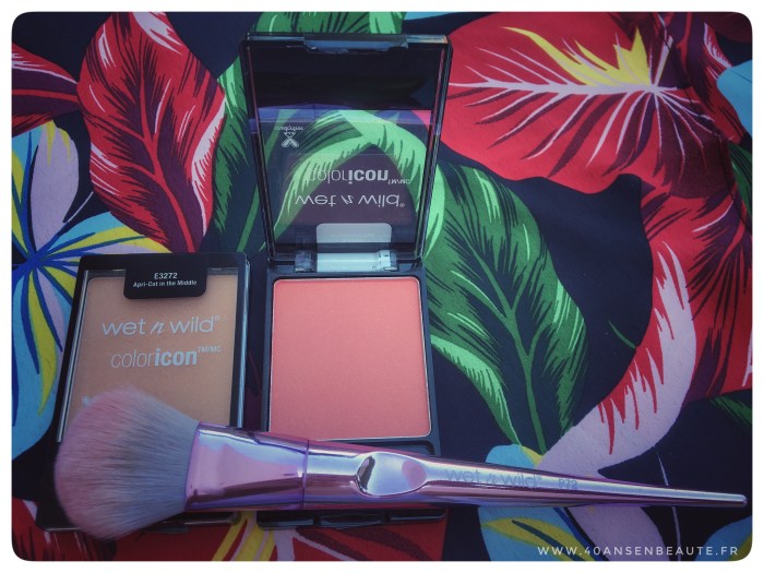 AVIS-BLUSH-PINCEAUX-WET-N-WILD