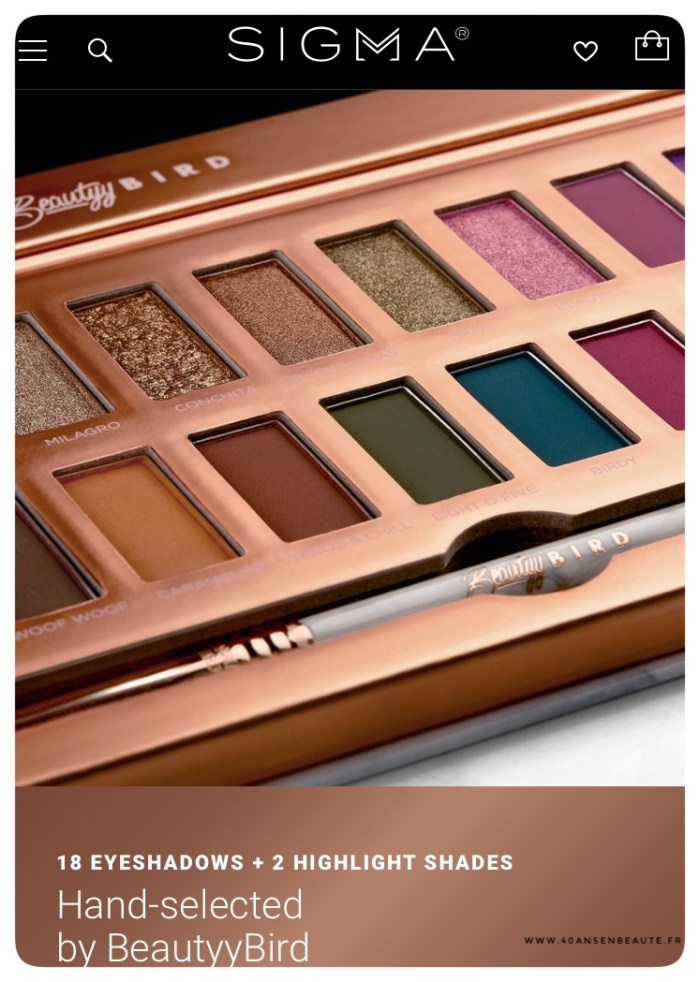 REVIEW-BEAUTYYBIRD-DREAM-PALETTE-SIGMA
