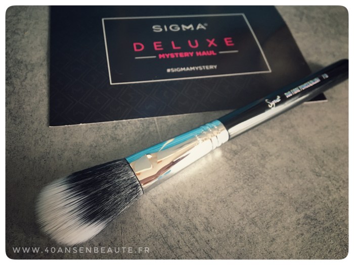 SIGMA-DELUXE-HAUL-BRUSH-F15