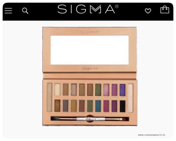 SWATCHES-BEAUTYYBIRD-DREAM-PALETTE-SIGMA