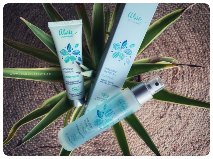 AVIS-ALOREE-BRUME-BIPHASE